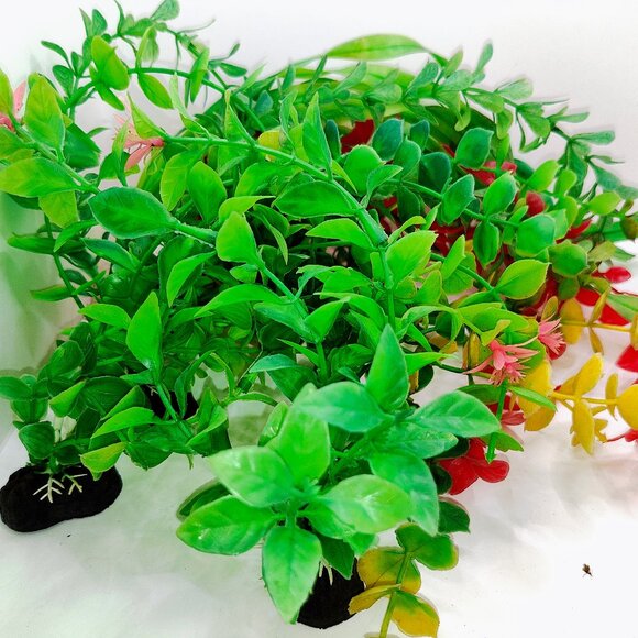 An bunch of used aqaurium plants - Picture 2 of 5